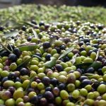 Uralba Eco Farm 3 11871860 10207696413511117 168190176 o