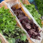 22124ED8 B3FA 4230 BC2B 9C49ADB4F3FE