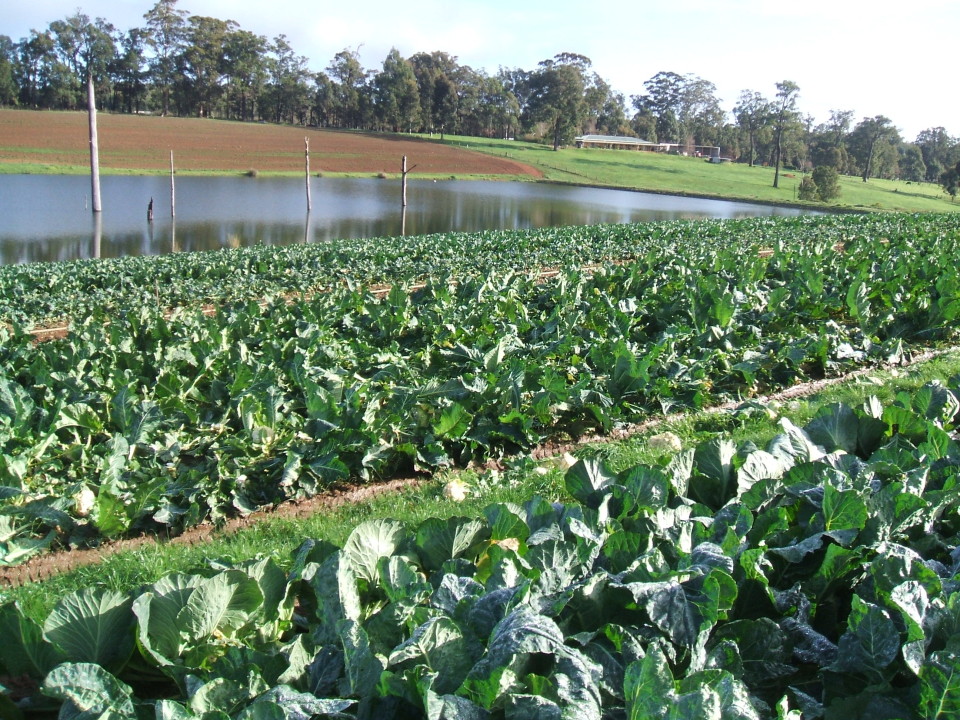 Margaret River Farmers' Market