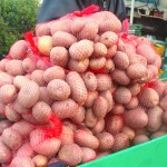 Peter Horne's certified organic fruits and vegetables 5 Farmers Market 006