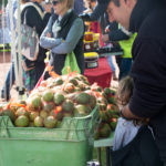 The Berry Farm 5 MRFM KH 13