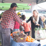 Capel Seedless Mandarins 2 MRFM KH 14