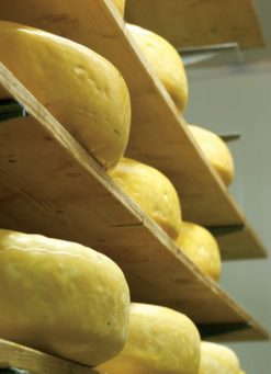 Alternative view of Cambray Sheep Cheese