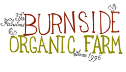 Burnside Organic Farm