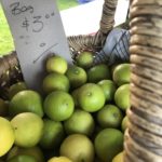 Uralba Eco Farm 7 zYPmpj7eTkuA8SuYvf0LQ e1565009234698