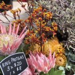 B9970263 74A0 4D1B B09D CC11A917F71C 1 201 a