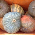 Peter Horne's certified organic fruits and vegetables 6 IMG 1136