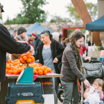 Capel Seedless Mandarins 3 recipes