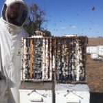 Jacob's Honey 2 IMG 7275