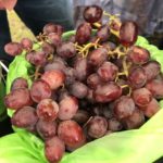 Margaret River Dried Grapes and Produce 2 InHJud6SQLW1qrsN6SSkcA e1565088097746