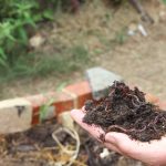 0613B743 8612 478F 9CB4 06CDA261BAC1