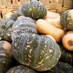 74628DB0 97C1 4FA2 BC4F 92FE448896CE