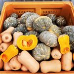 8FFE7963 F79E 41E8 B834 DA17AF4A95E3