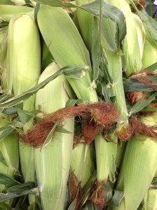 Margaret River Sweet Corn 2 IMG_0450