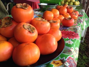 persimmons