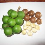 Storm January 2013 011