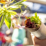 Conscious Catering - Margaret River 5 Conscious Catering Farmers Markets 6003