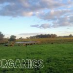 Geo Organics 2 GEO 2