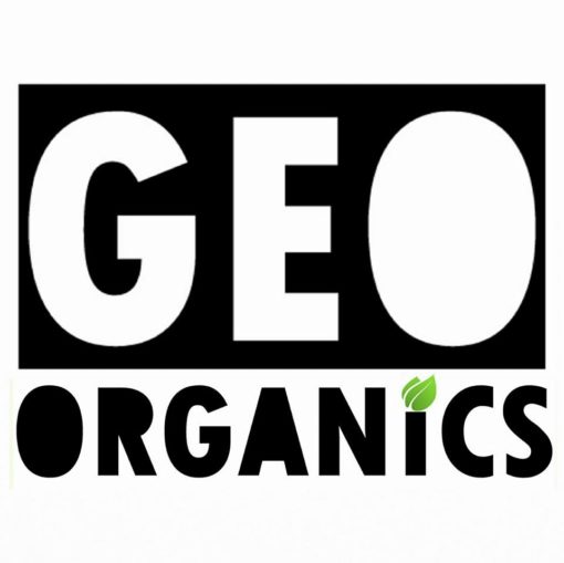 GEO logo