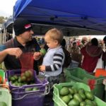 The Berry Farm 4 Avocados