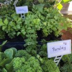 O2IFsb5xSO26rE83WXDw e1551246108917