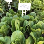 c7hKQFuhSVPvNOYzANvaA e1551246089557