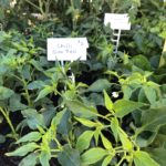 ux120fPXQj6GXD3WzjY2KQ e1551246067192