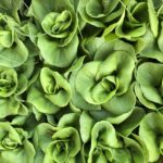 vlheCPrTMKIhdBDzx2MxQ