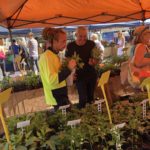 z2XaICzlR4C2G8RDgUMQ e1551246130652