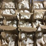 9B1AE416 5F61 41FC B448 F5BF112D6C32