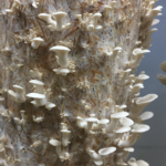 D6173D16 BB05 4711 A507 571BE7424D2D