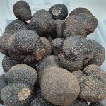 Margaret River Gourmet Truffles 4 20220718 173403