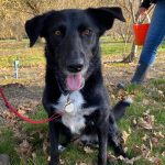 Margaret River Gourmet Truffles 7 IMG 20220626 WA0014