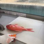 FFC5EF69 DF6F 450F A502 C6C373DEFE8F