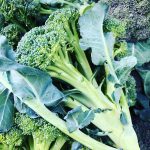 Margaret River Farm Direct 3 39142592 E9AA 4140 B662 01A9720E17AE