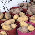 Margaret River Farm Direct 4 DB255B04 DCFC 4B16 A9F3 F336B07A8736 1 201 a scaled e1612858812876