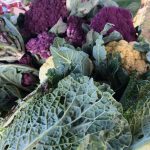 Margaret River Farm Direct 6 MRMG2