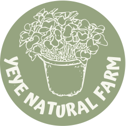 YeYe Natural Farm