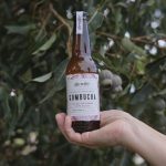 Alewife Kombucha 7 Alewife.creativeJul 01 2022