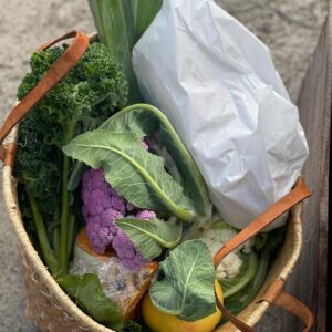 0516880A B9D5 4108 ACC4 7C63A355EF20