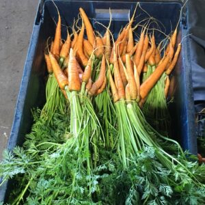 2CBD56BF 3AE7 4105 96DA 4670485A904E