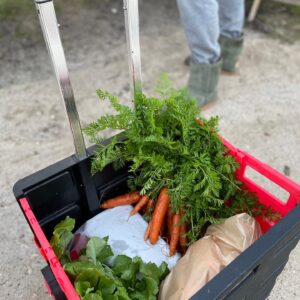 43C48A1C E1AB 4328 BEE2 9D6424229433