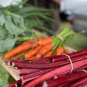 5225420B D282 41E8 9F29 94EF4F9BF183