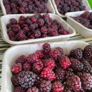 729A9651 4AC7 46C3 B5E5 B8E788B23ED7