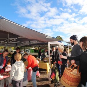 BA980A31 2553 45AA A520 CF9AF5C5263A