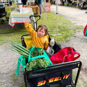 E4BE402A 5DBD 4691 8A04 897062D4FCD7