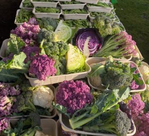 F7E0733C 5182 44D3 ACA1 B2609C5CD0EF