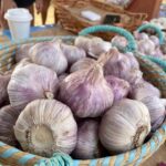 balajup organic garlic margaret river farmers market
