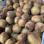 2DCF9AB8 C1AE 485C AC82 5AF28C9660E3 1 105 c