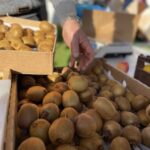 D9A6589B 5C66 4F3D B758 310C74B8B84D 1 105 c